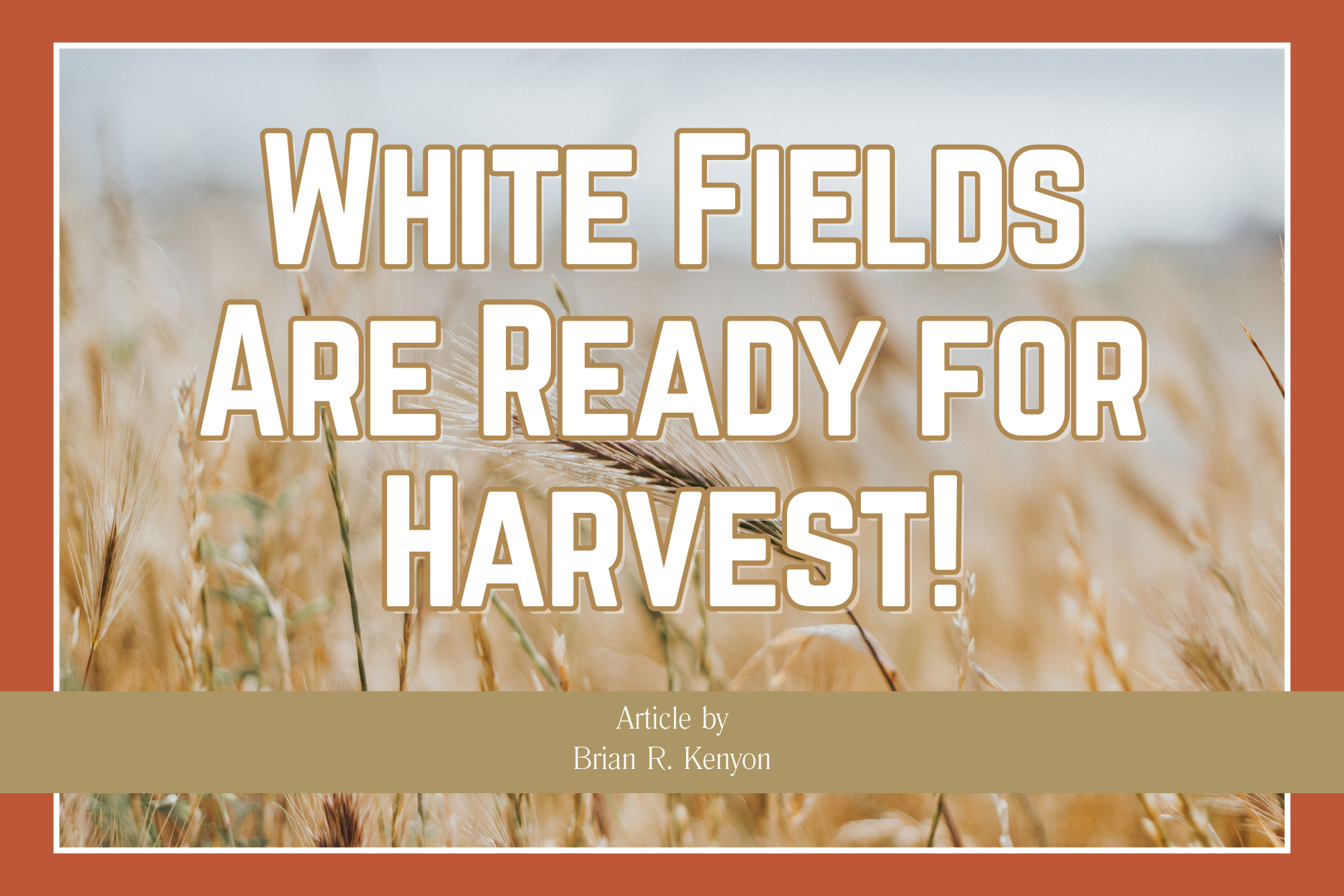 Featured image for “White Fields Are Ready for Harvest!”
